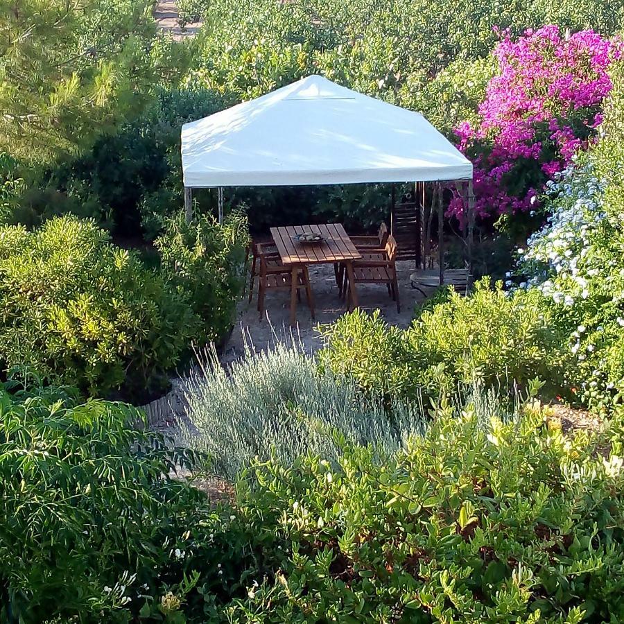 Villa Aegina'S Oasis Esterno foto