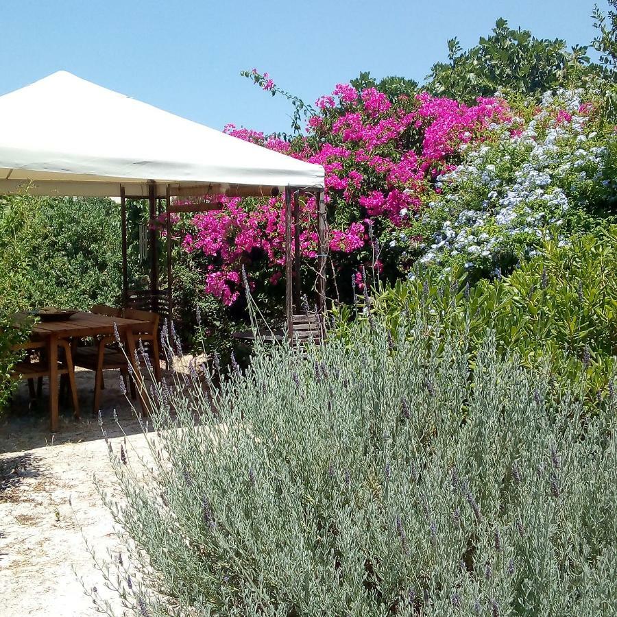 Villa Aegina'S Oasis Esterno foto