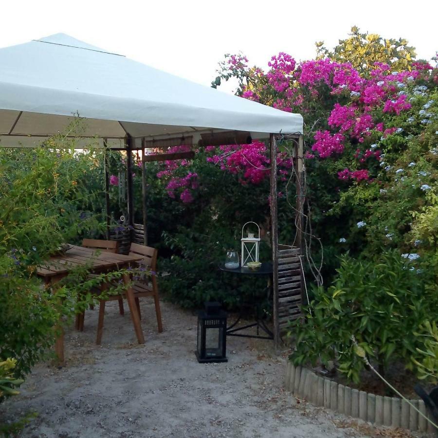 Villa Aegina'S Oasis Esterno foto
